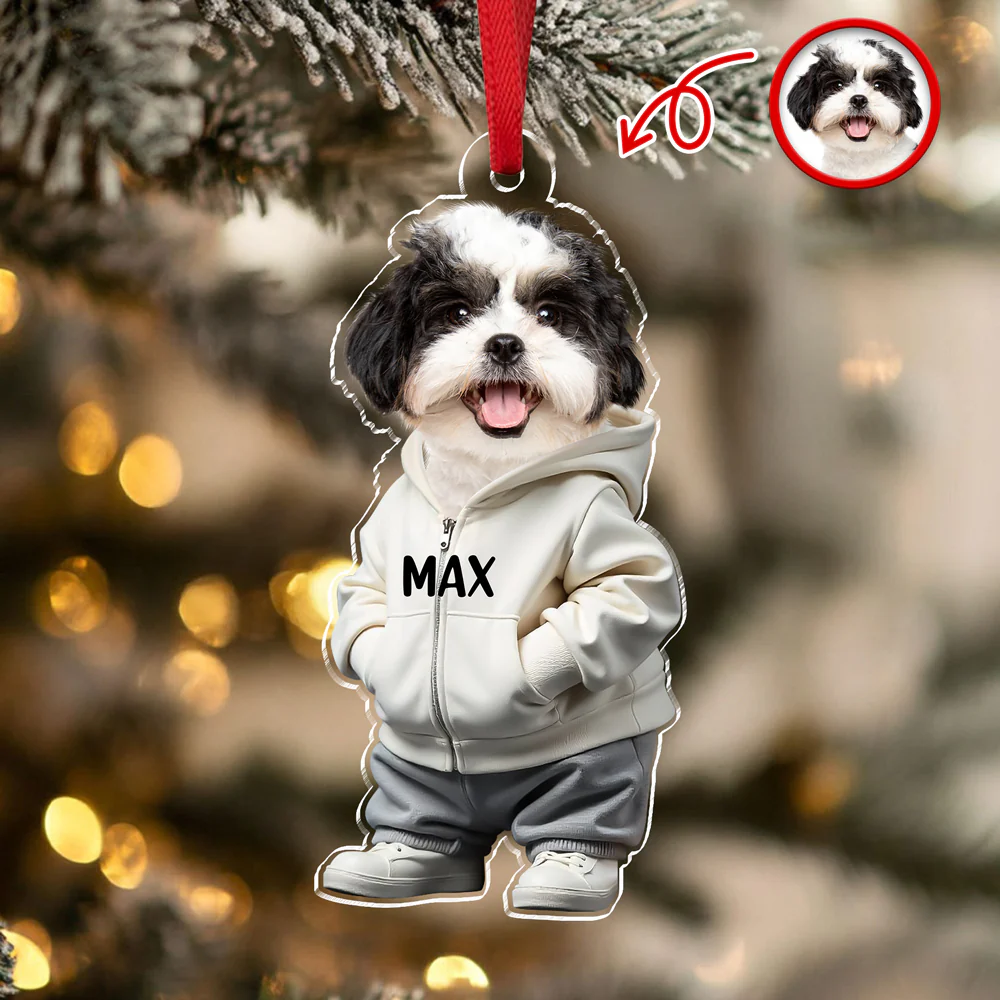 Custom Photo Cool Dog Cat Acrylic Ornament Gift For Dog Cat Lovers HA75 897146 - Image 3