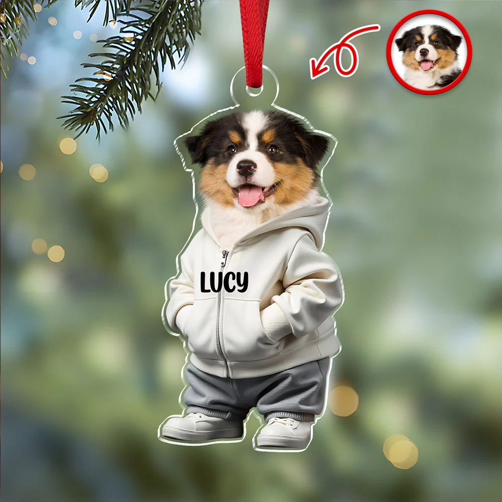 Custom Photo Cool Dog Cat Acrylic Ornament Gift For Dog Cat Lovers HA75 897146 - Image 4
