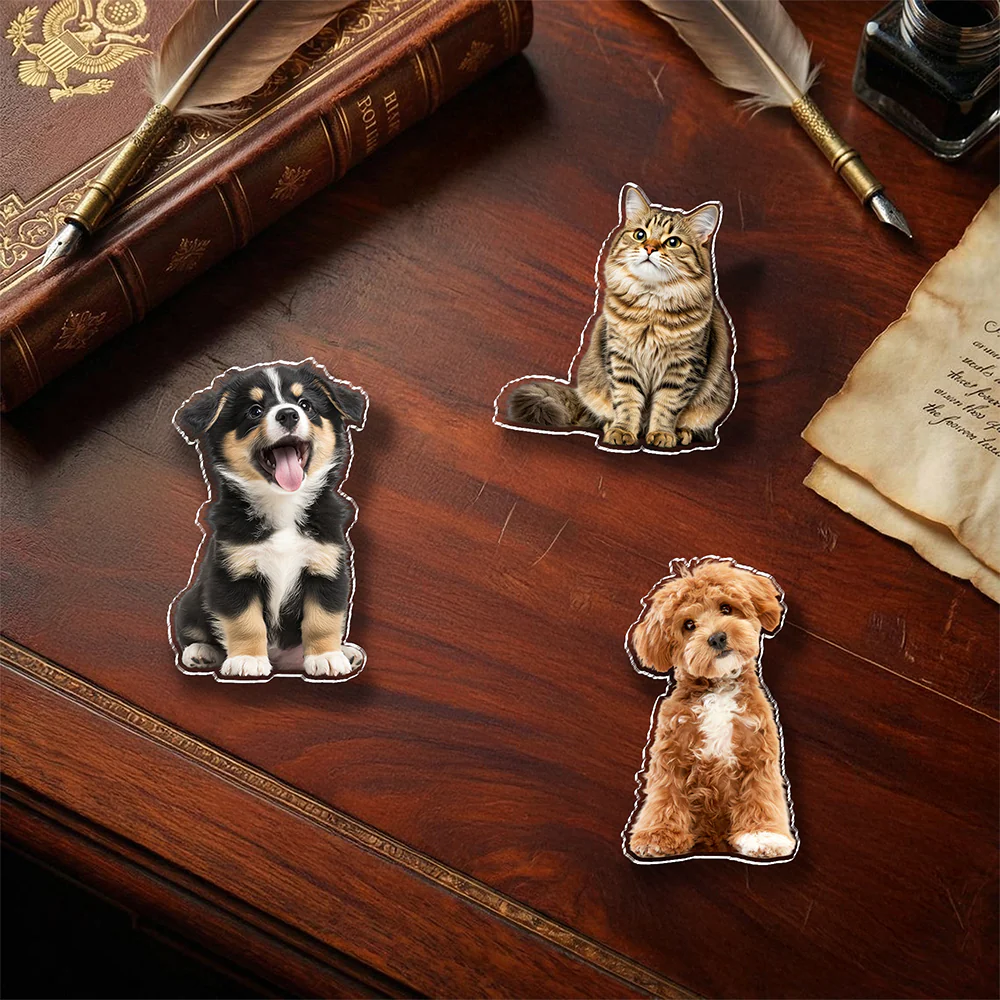 Custom Photo Dog Cat Acrylic Pin Gift For Dog Cat Lovers HA75 921060 - Image 3