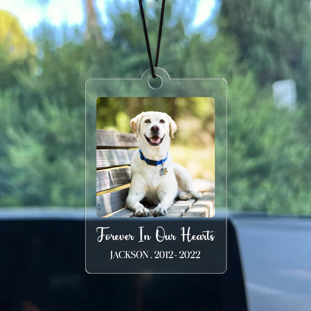 Custom Photo Dog, Cat Forever In My Heart Memorial Car Hanging Ornament N304 HA75 891444 - Image 4