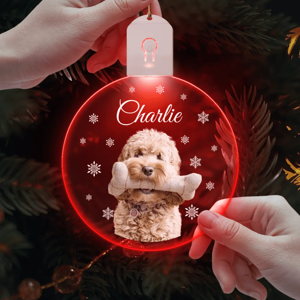 Custom Photo Dog Circle Led Acrylic Ornament Christmas Gift For Dog Lovers HA75 891652