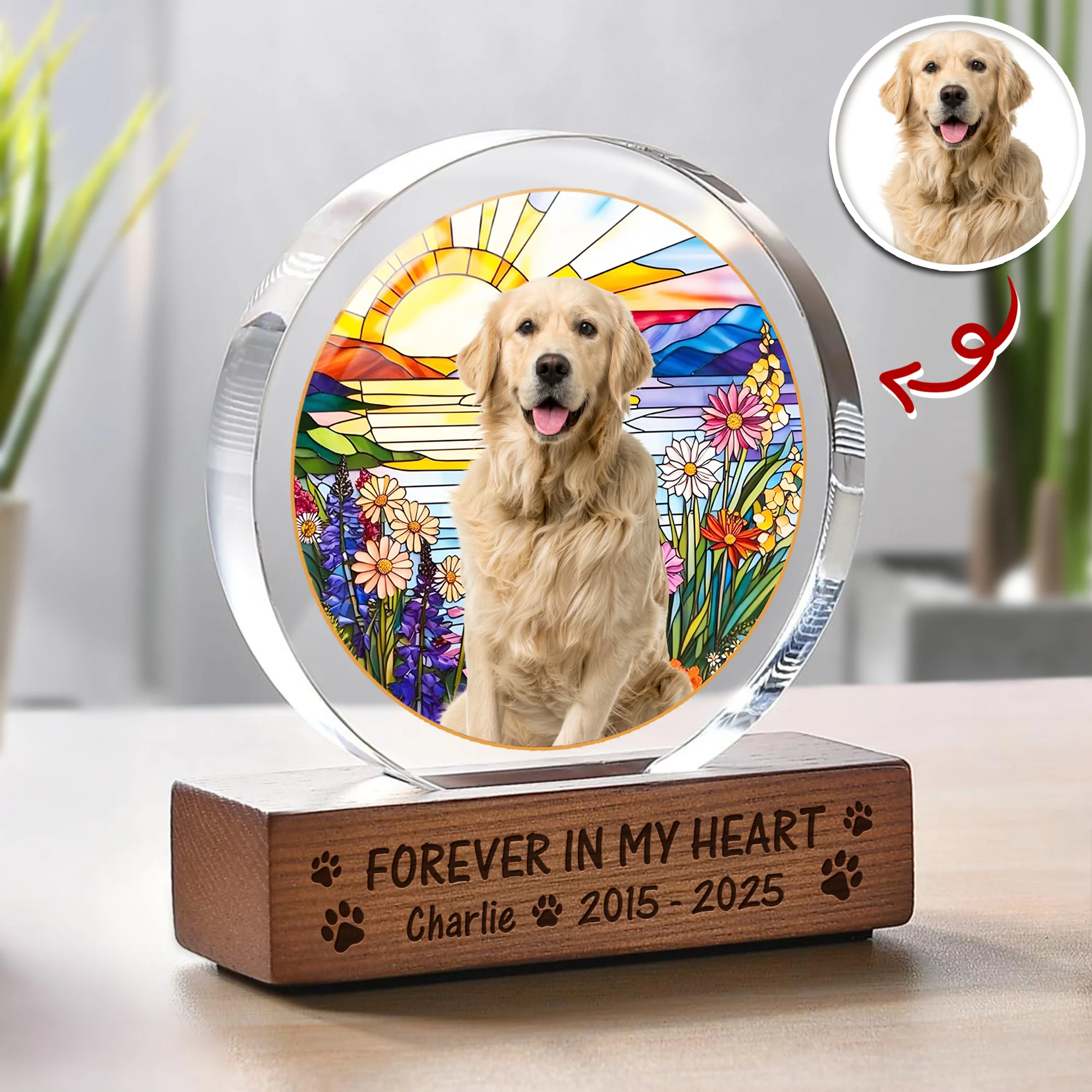 Custom Photo Forever In My Heart Dog Cat Pet Memorial Round Acrylic Frame Block HA75 897014 - Image 2