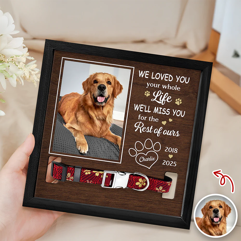 Custom Photo I Loved You Whole Life Memorial Dog Cat Square Collar Frame HA75 892818 - Image 2