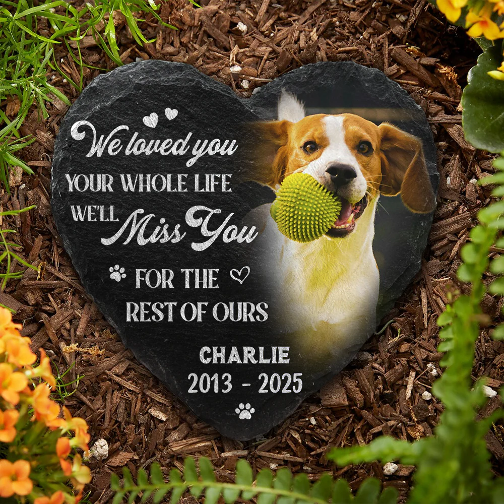 Custom Photo You Would Have Lived Forever Pet Memorial Heart Shaped Stone With Stand HA75 891212 - Image 5