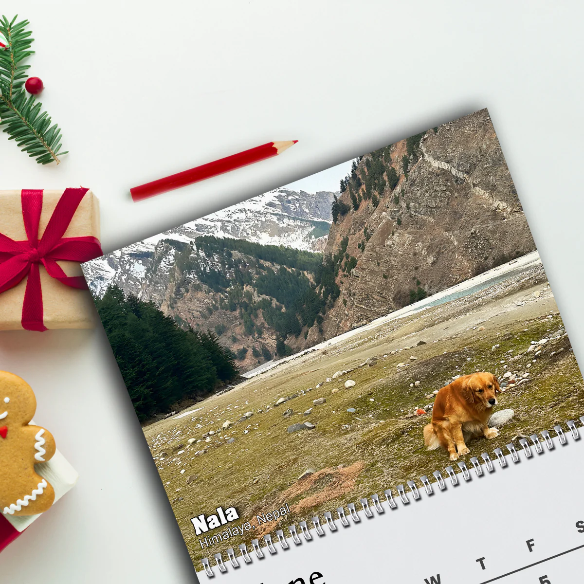 2026 Pooping Pooches Funny Dog Wall Calendar, White Elephant Gag Gift LM32 897307 - Image 2