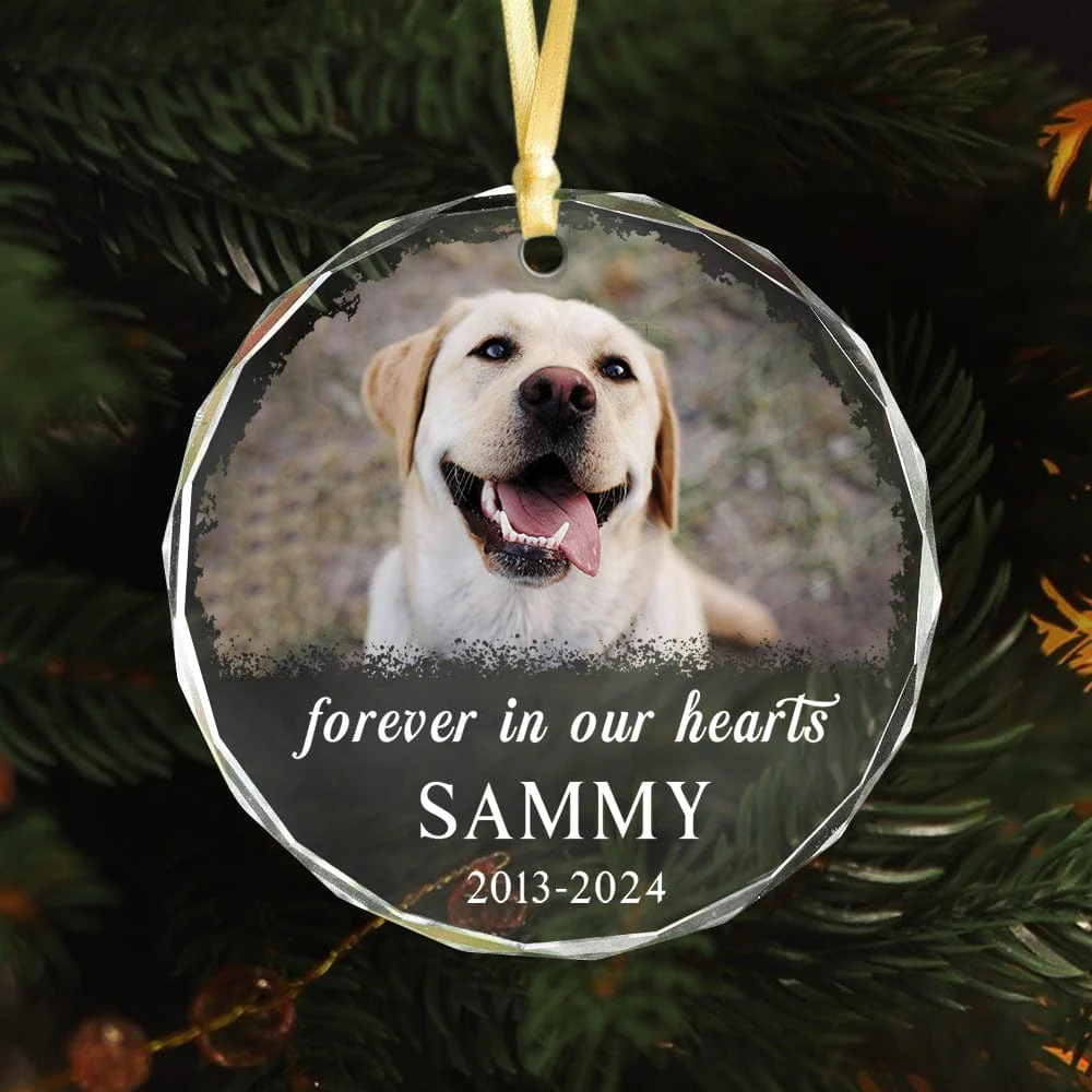 Custom Photo and Name Dog Memorial Glass Ornament Forever in Our Heart For Dog Lovers HO82 891781 - Image 2