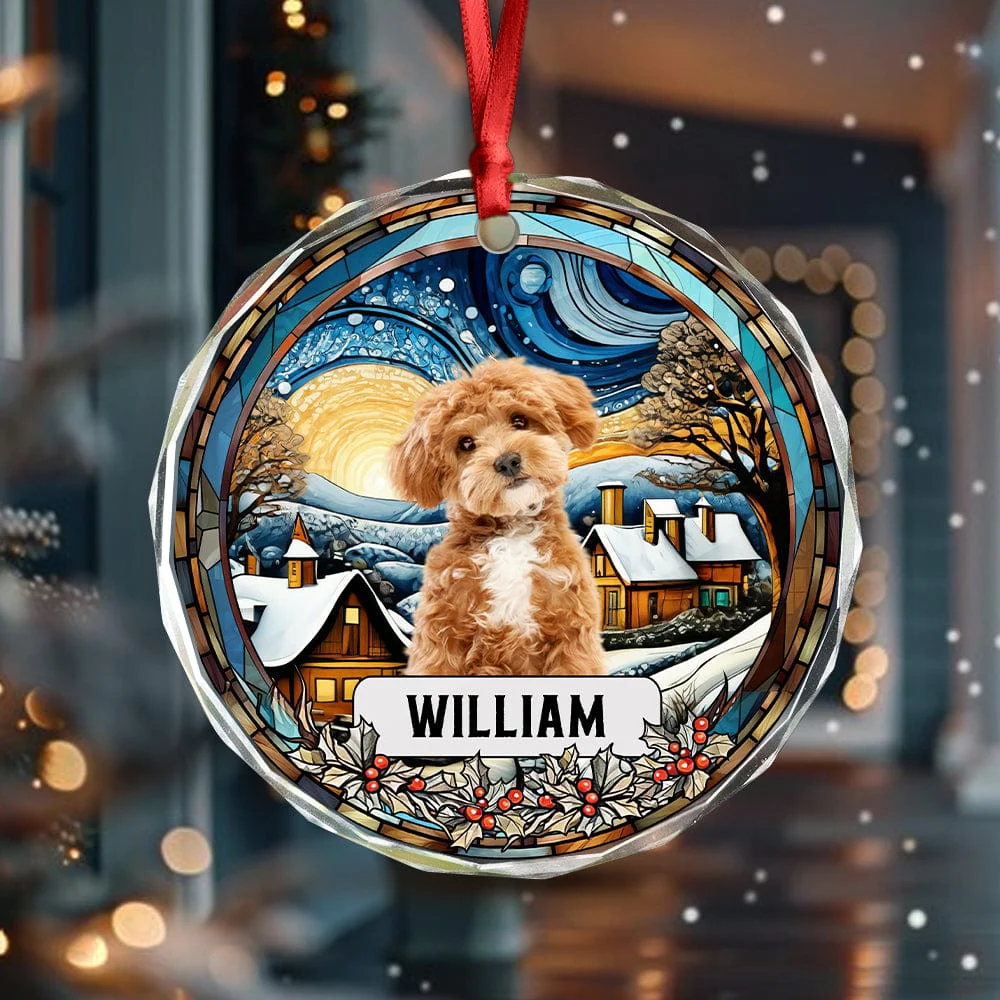 Custom Photo and Name Christmas Dog Cat Circle Glass Ornament HA75 891747