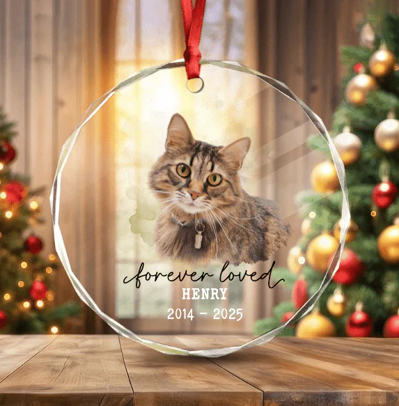 Custom Photo Forever Love Dog Christmas Glass Ornament HO82 891711 - Image 3