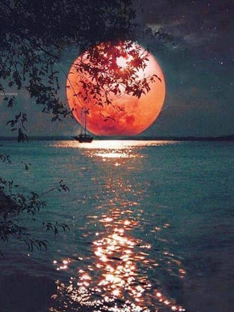 New DIY 5D Diamond Moon Tree Full Round Painting - Image 16