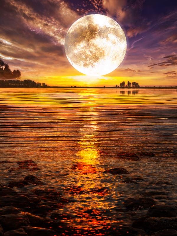 New DIY 5D Diamond Moon Tree Full Round Painting - Image 9