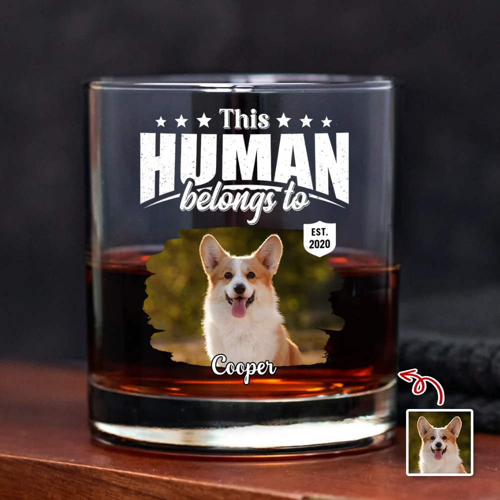 Custom Dog Cat Photo This Human Belongs To Rock Glass - Personalized Pet Lover Gift HA75 921368 - Image 6