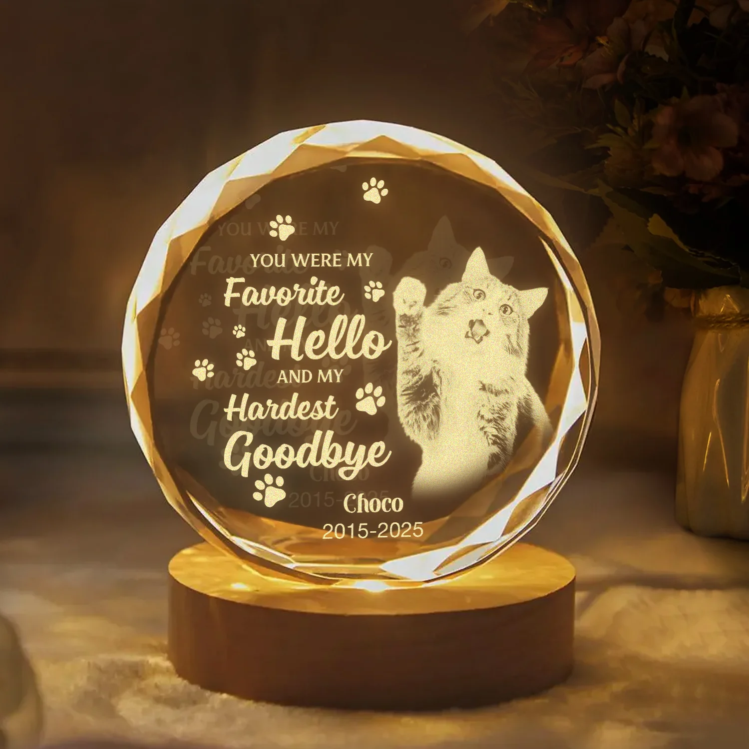 Custom Photo Dog Memorial Engraved Crystal Photo With Light TH10 898177 - Image 6
