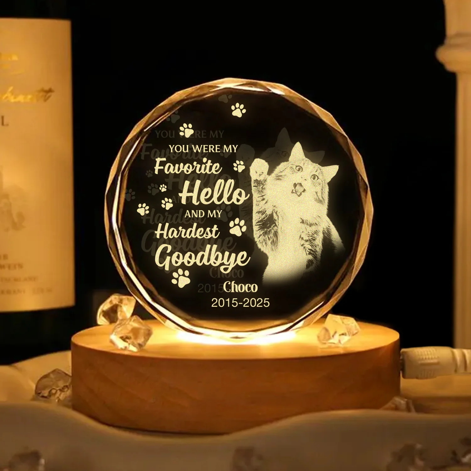 Custom Photo Dog Memorial Engraved Crystal Photo With Light TH10 898177 - Image 9