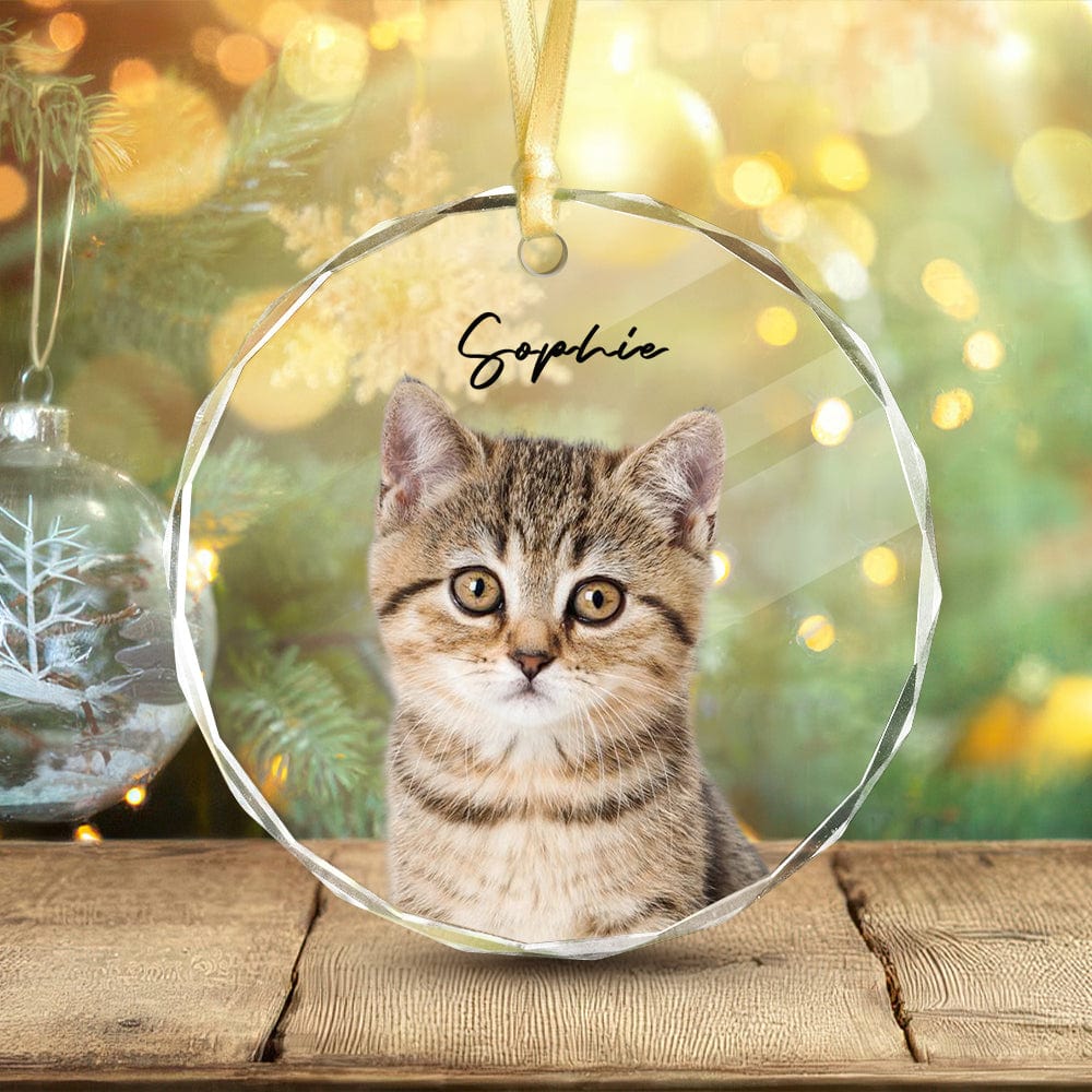 Custom Cat Photo Christmas Glass Circle Ornament HO82 893052