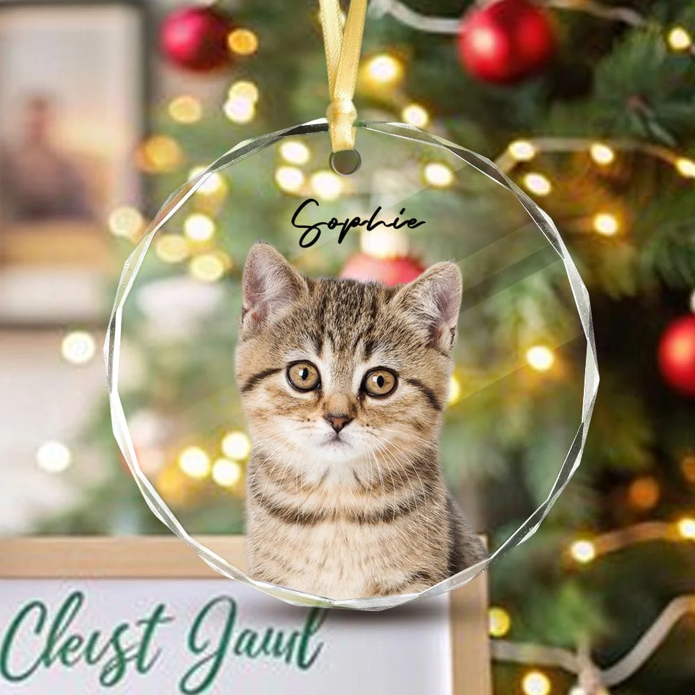 Custom Cat Photo Christmas Glass Circle Ornament HO82 893052 - Image 2
