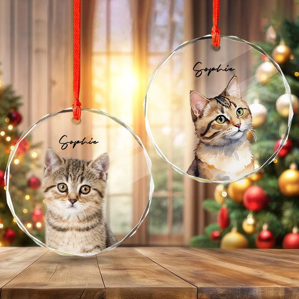 Custom Cat Photo Christmas Glass Circle Ornament HO82 893052 - Image 4