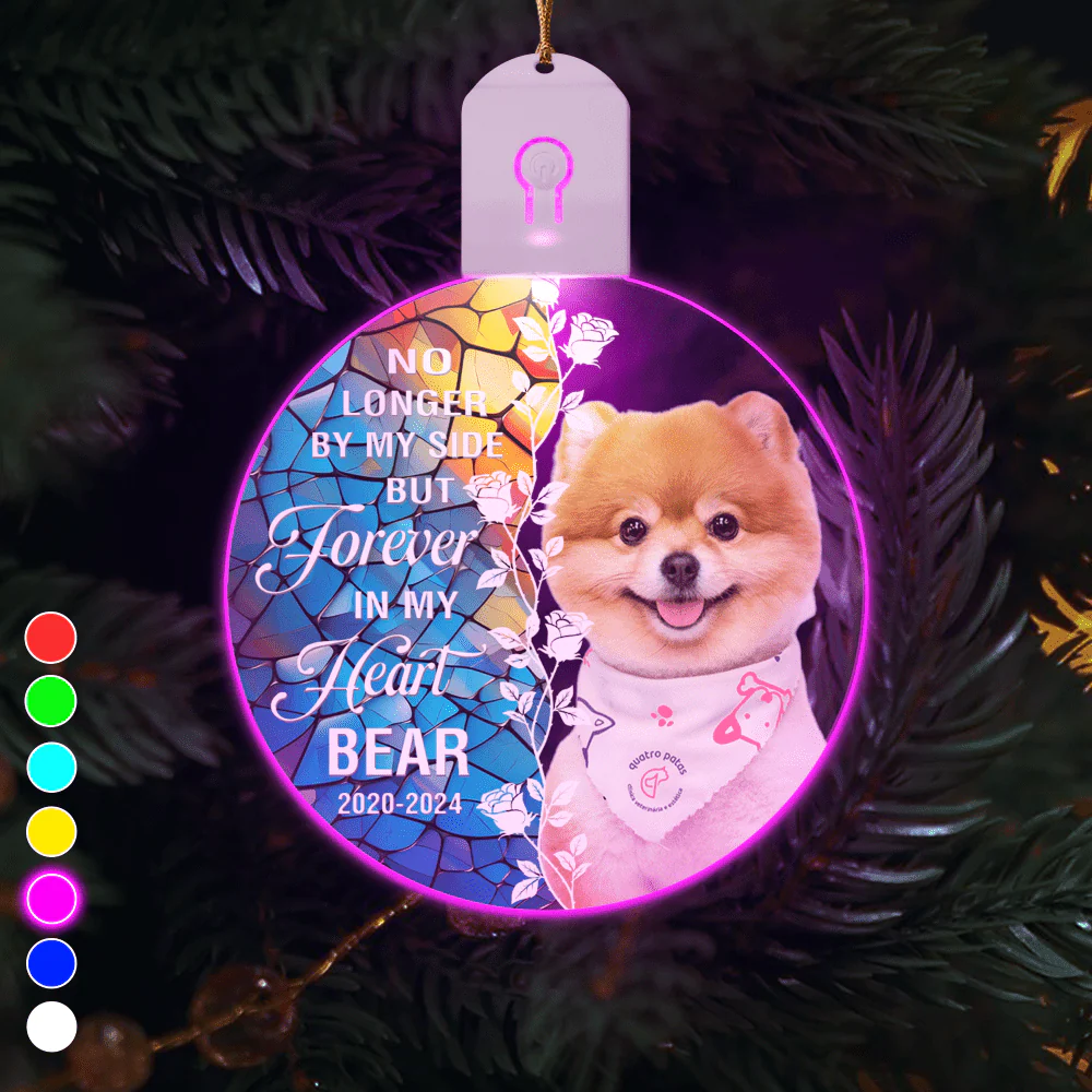 Custom Dog Photo Forever In My Heart Circle Led Acrylic Ornament HO82 893264 - Image 4