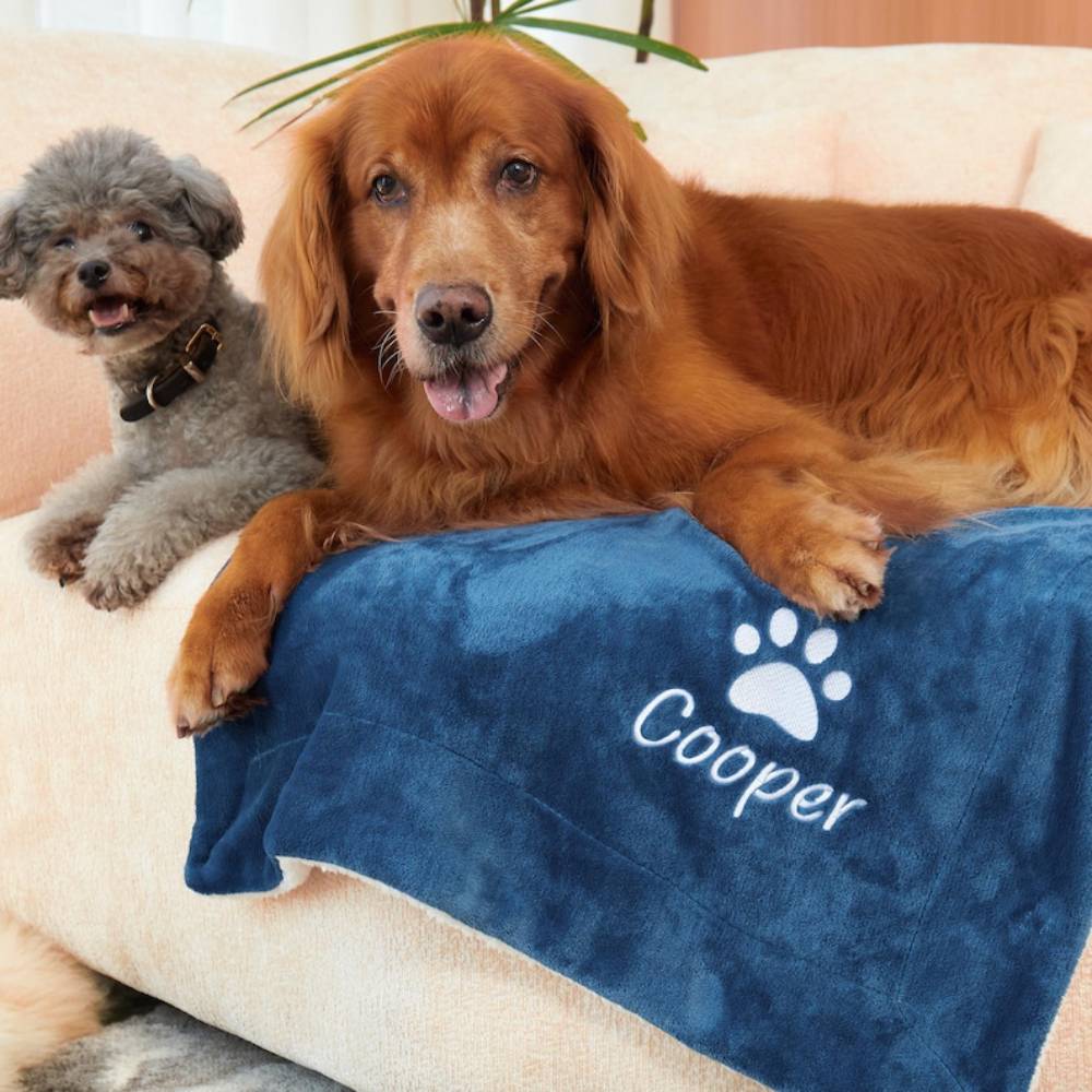 Custom Name Coming Home Gift New Puppy Embroidered Pet Blanket HO82 893196