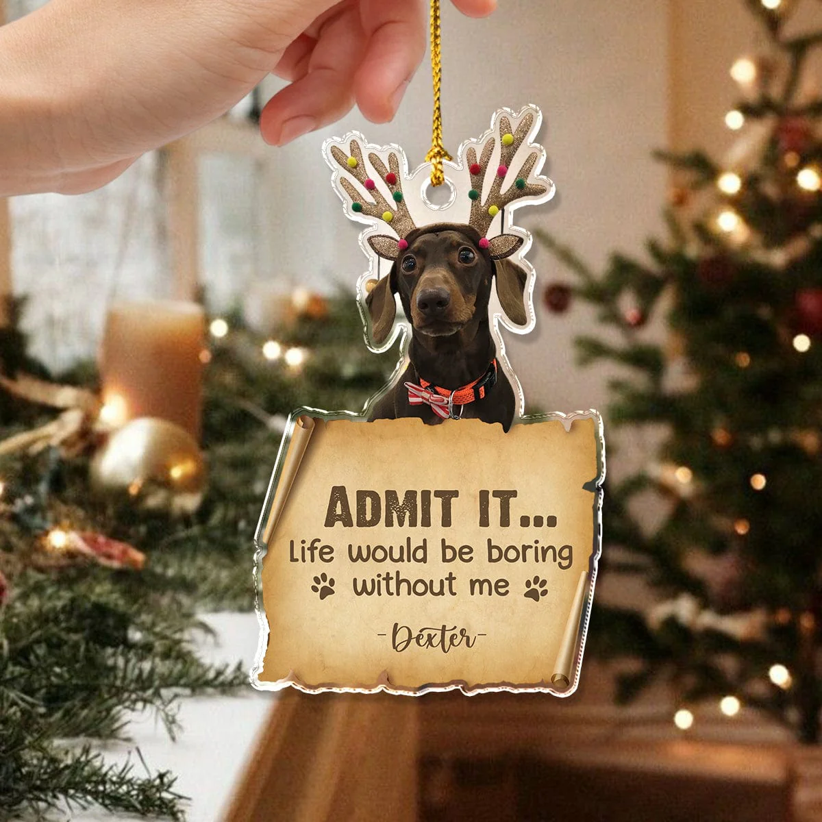Custom Photo Life Would Be Boring Without Me For Dog Cat Lovers Acrylic Ornament HO82 893178 - Image 3