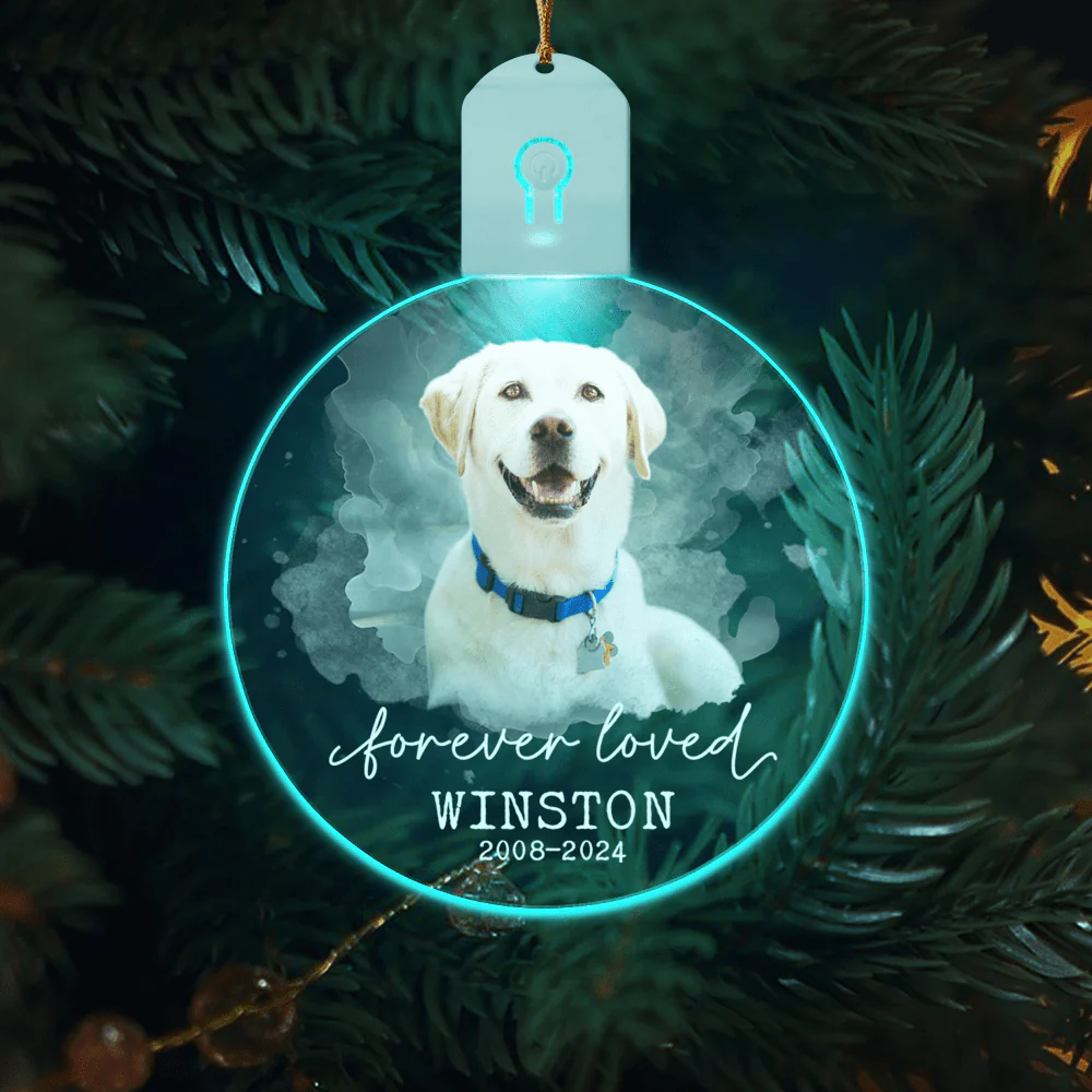 Custom Photo Forever Love Dog Christmas Circle Led Acrylic Ornament HO82 893258