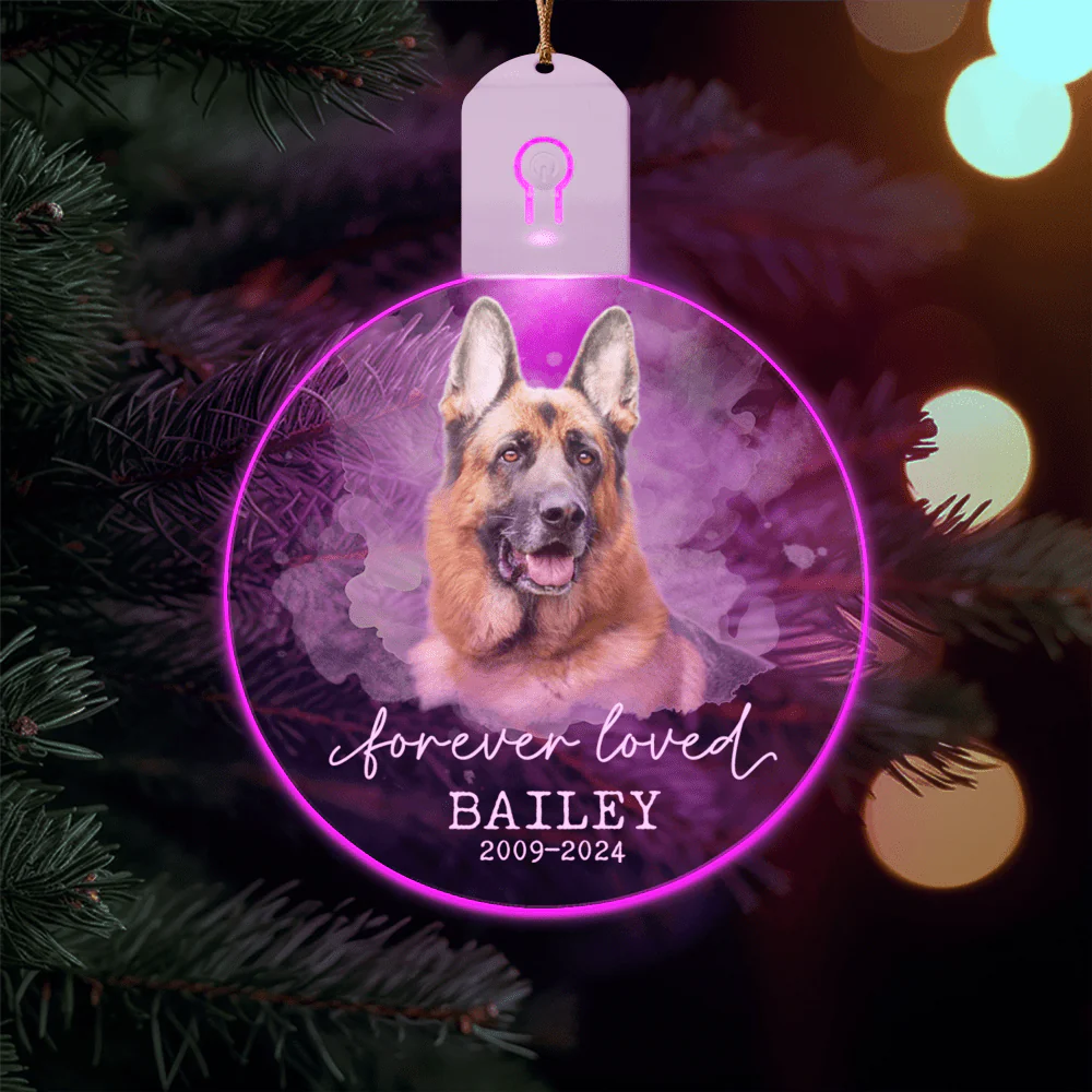 Custom Photo Forever Love Dog Christmas Circle Led Acrylic Ornament HO82 893258 - Image 2