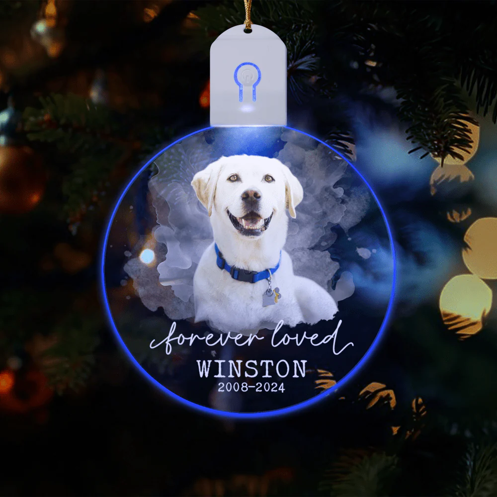 Custom Photo Forever Love Dog Christmas Circle Led Acrylic Ornament HO82 893258 - Image 4