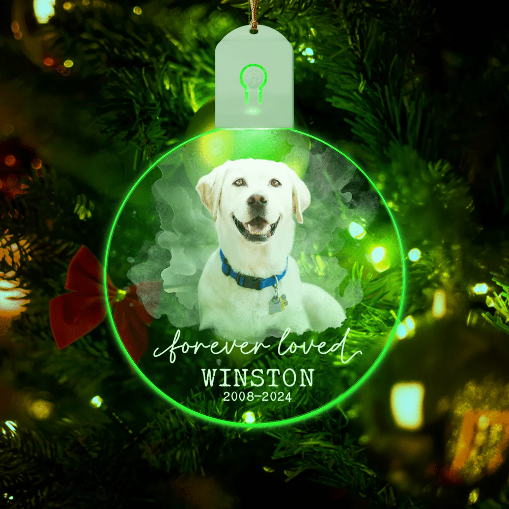 Custom Photo Forever Love Dog Christmas Circle Led Acrylic Ornament HO82 893258 - Image 5