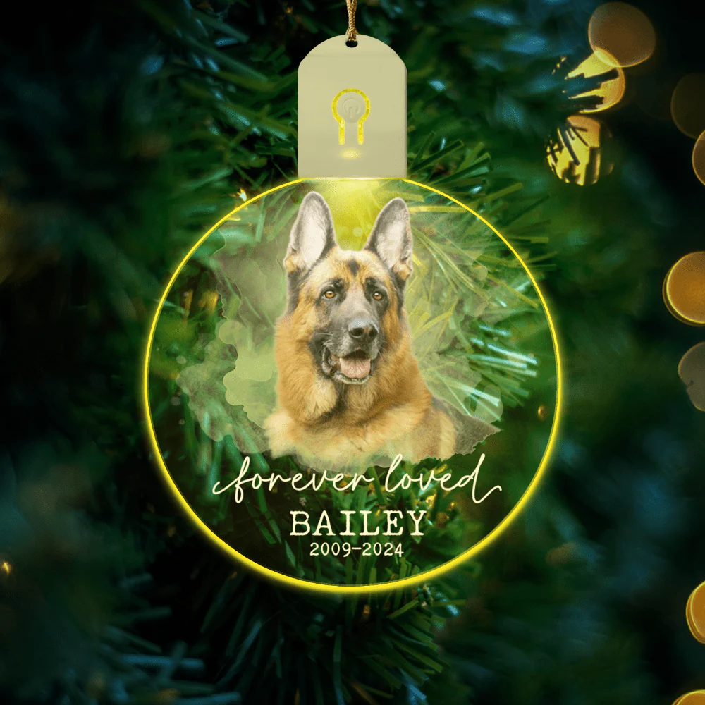 Custom Photo Forever Love Dog Christmas Circle Led Acrylic Ornament HO82 893258 - Image 6