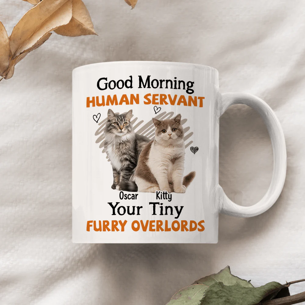 Custom Photo Good Morning Human Servant Cat Mug DA199 890264 - Image 2