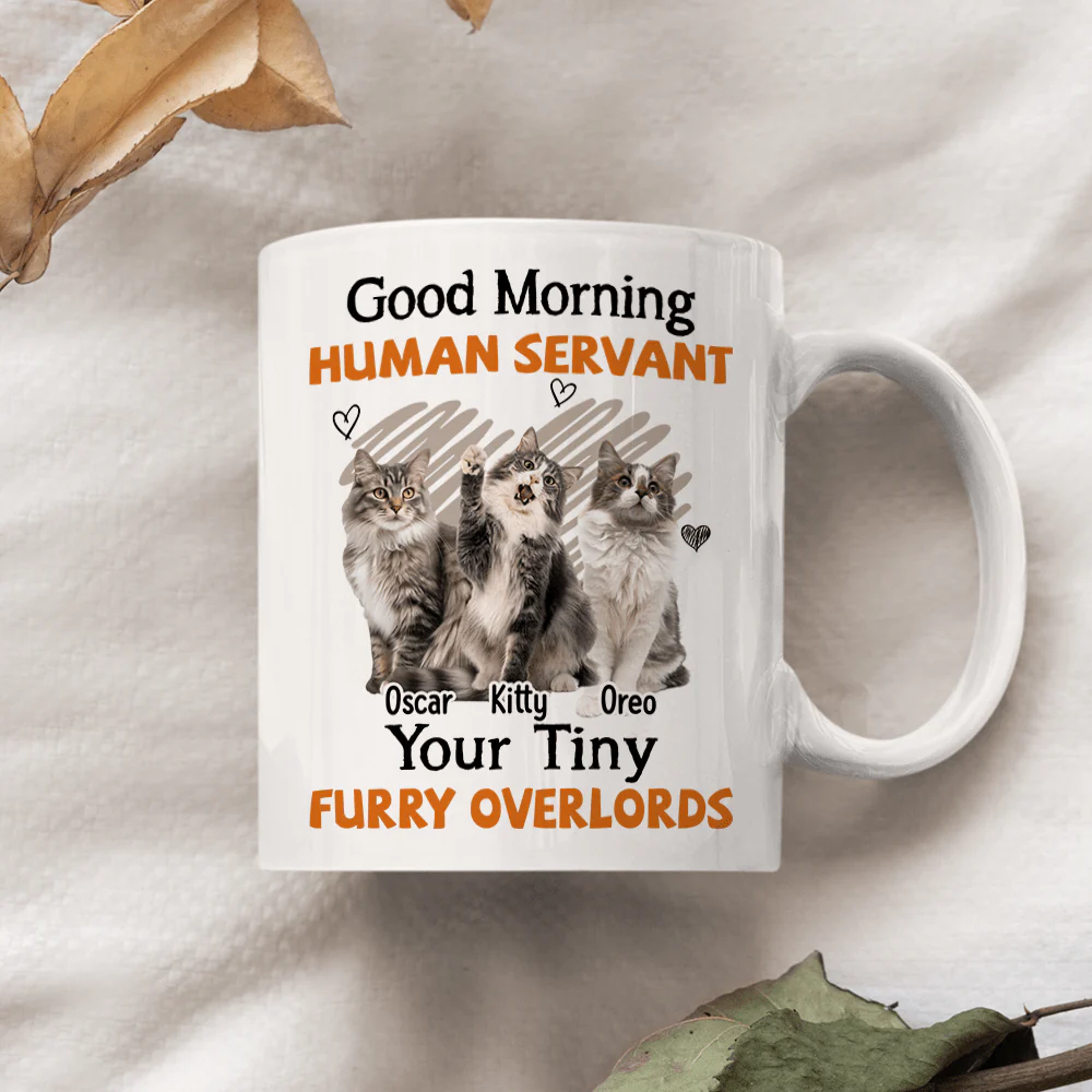 Custom Photo Good Morning Human Servant Cat Mug DA199 890264 - Image 3