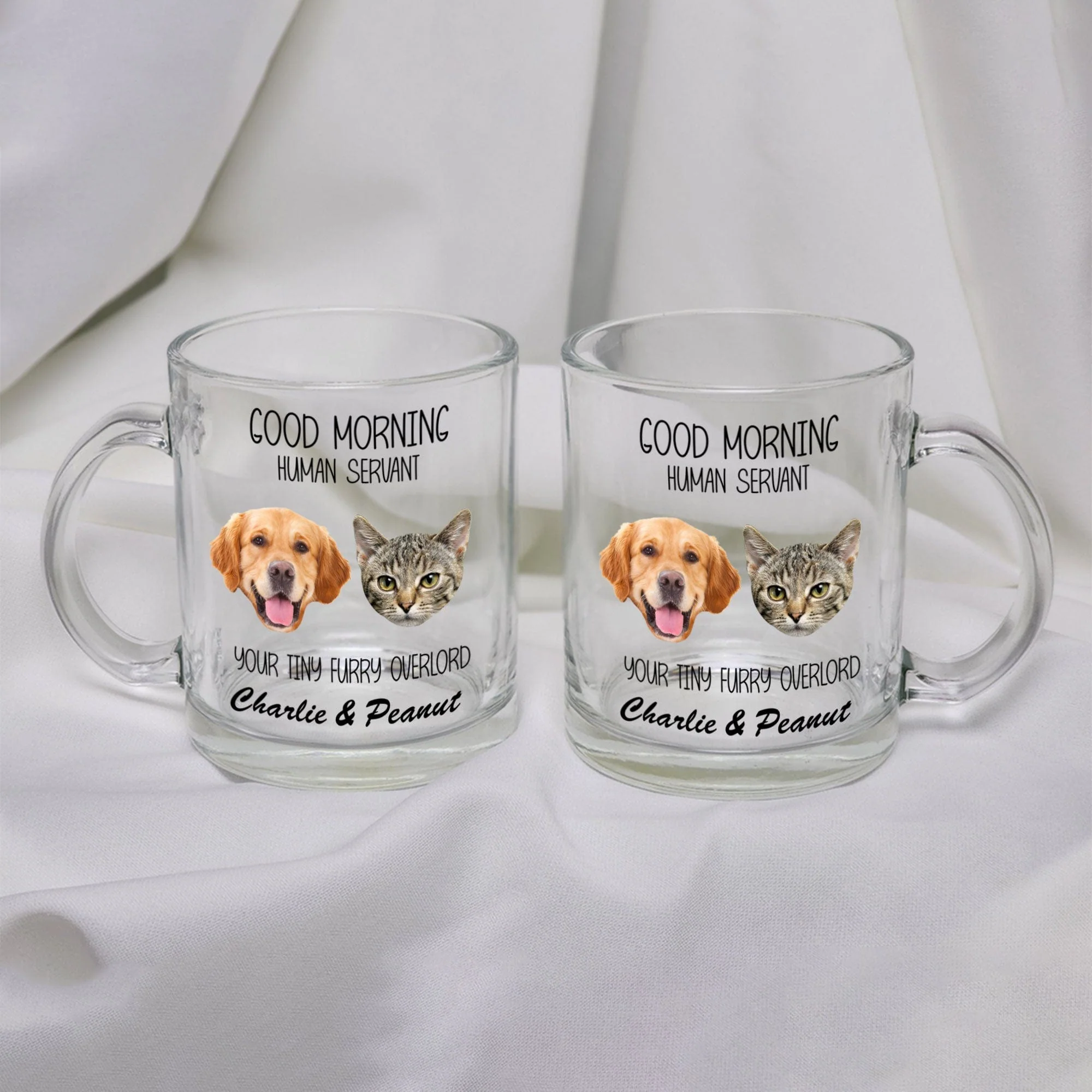 Custom Photo Good Morning Human Servant For Dog Cat Lovers Glass Mug HO82 891120 - Image 2