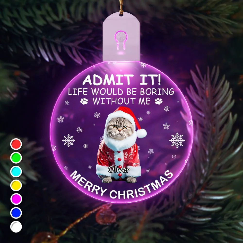 Custom Photo Life Would Be Boring Without Me Dog Cat Circle Led Acrylic Ornament HO82 893218 - Image 14