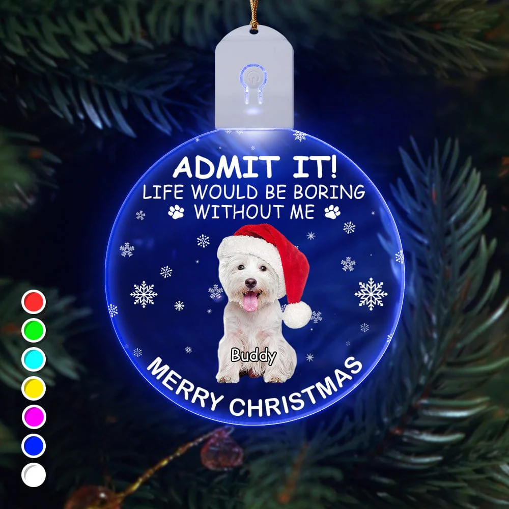 Custom Photo Life Would Be Boring Without Me Dog Cat Circle Led Acrylic Ornament HO82 893218 - Image 19