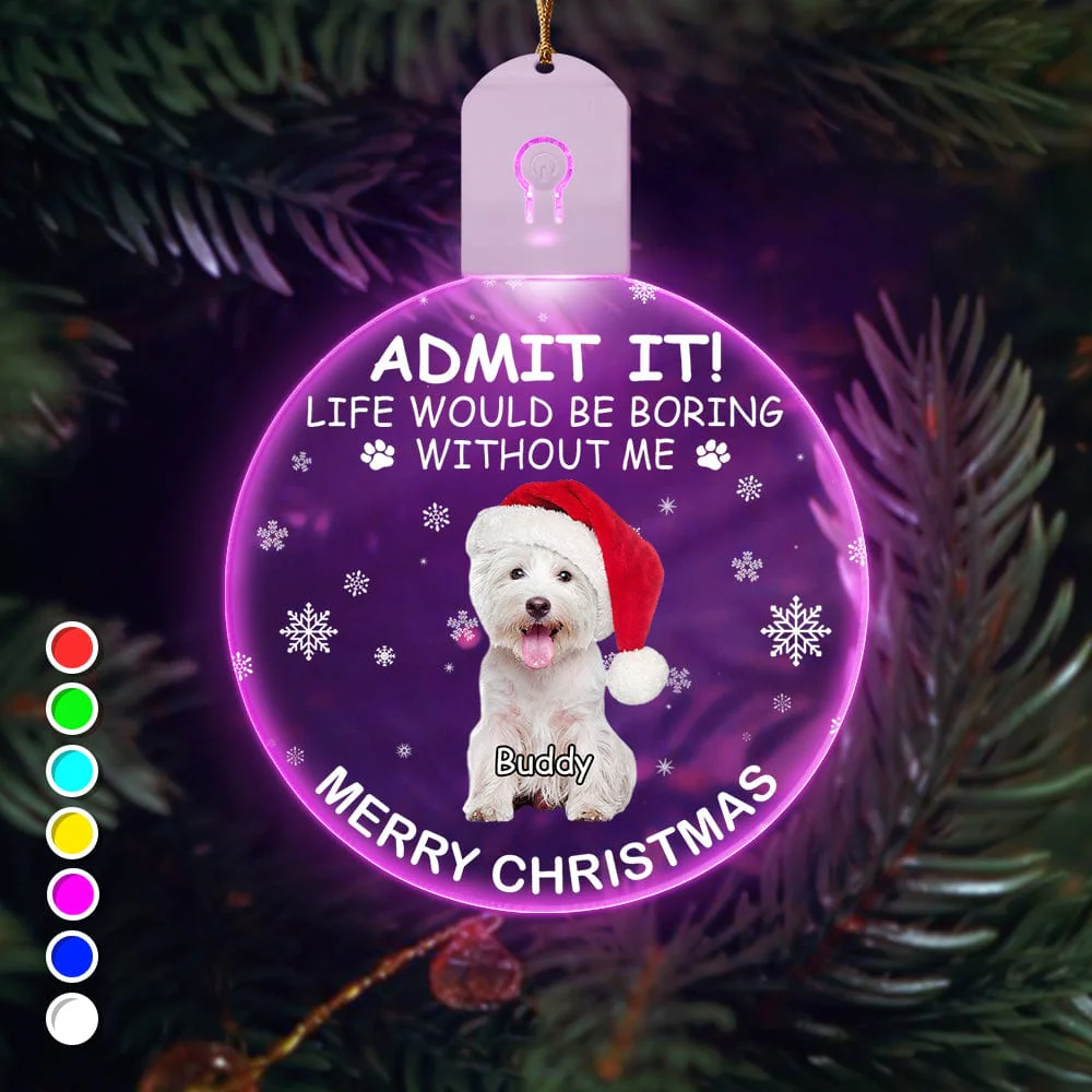 Custom Photo Life Would Be Boring Without Me Dog Cat Circle Led Acrylic Ornament HO82 893218 - Image 20