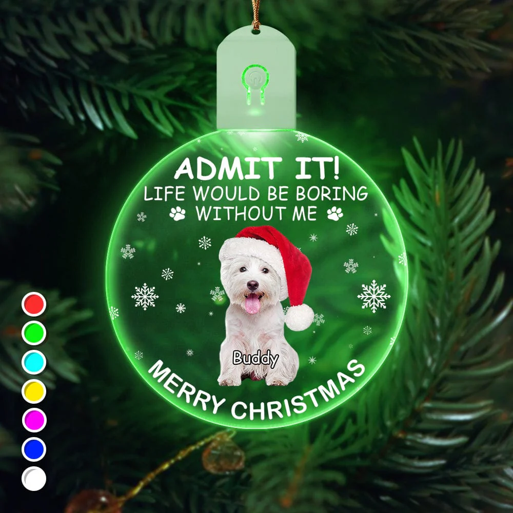 Custom Photo Life Would Be Boring Without Me Dog Cat Circle Led Acrylic Ornament HO82 893218 - Image 21