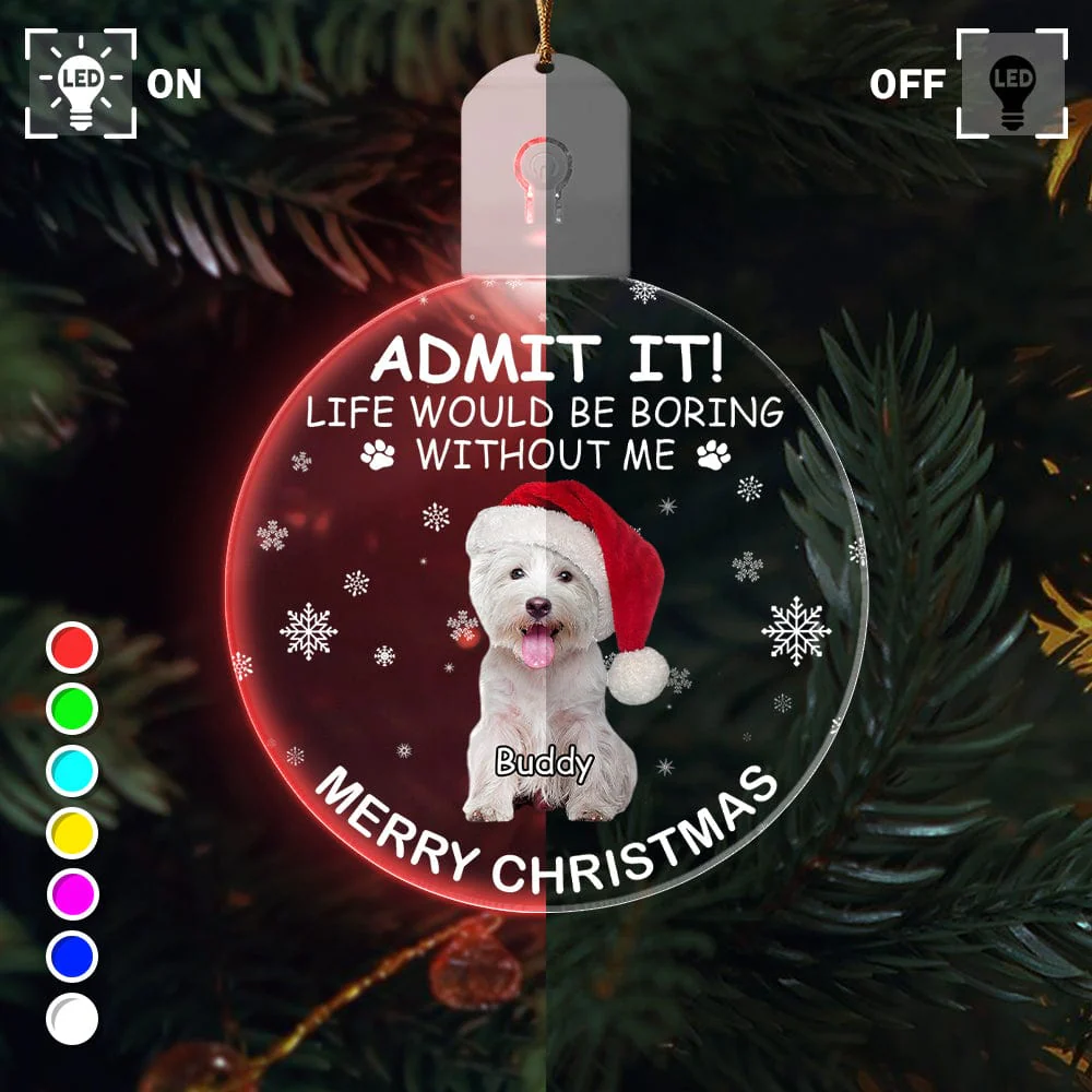 Custom Photo Life Would Be Boring Without Me Dog Cat Circle Led Acrylic Ornament HO82 893218 - Image 23