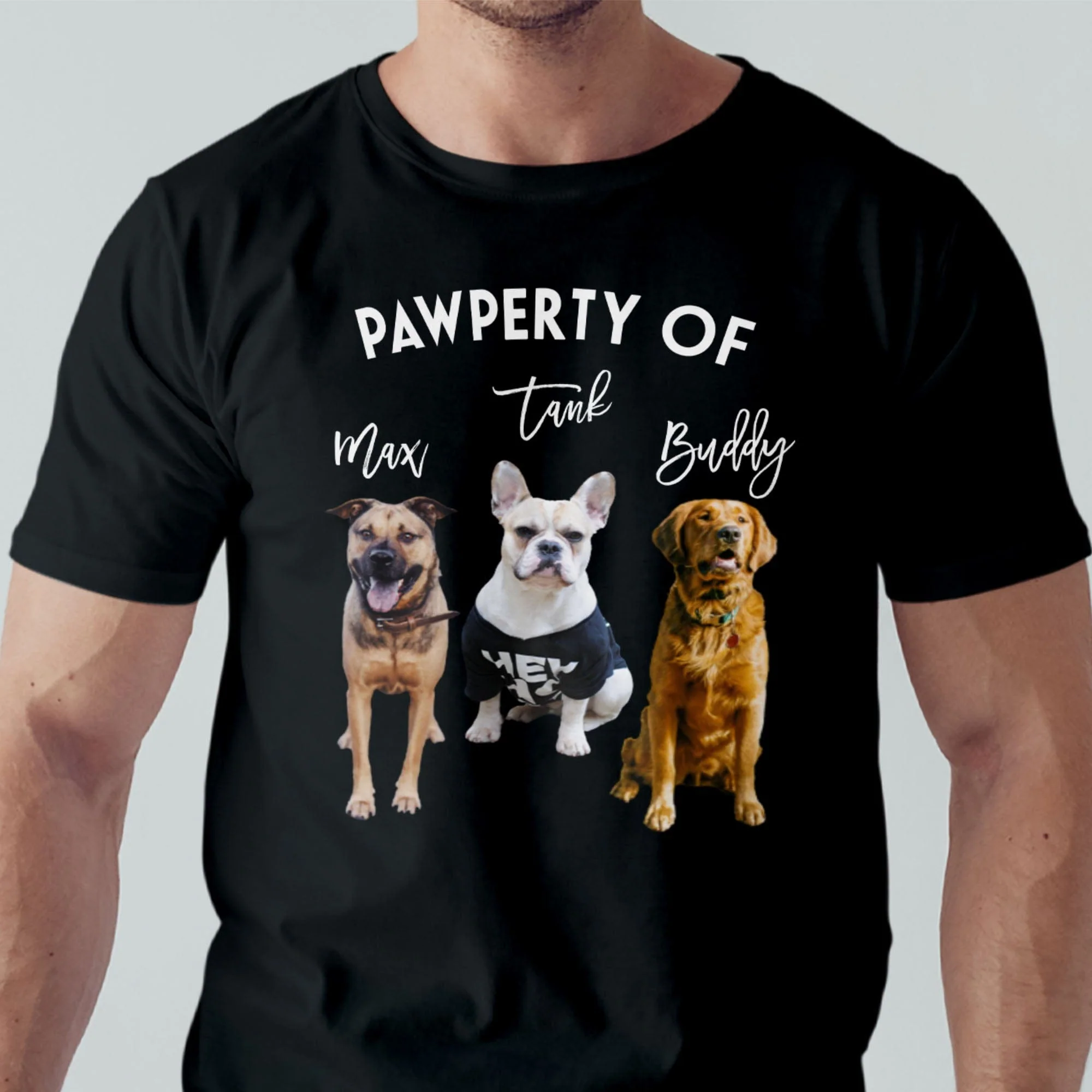 Pawperty Of My Dogs Pet Photo Shirt C169