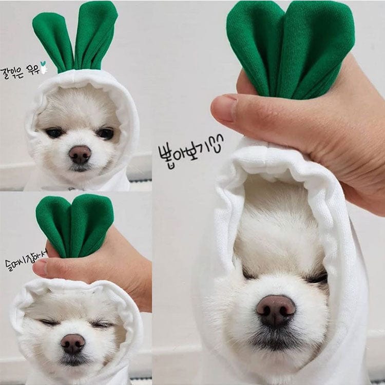 Dog Hooded Sweatshirt Fruit Warm Coat - Image 4