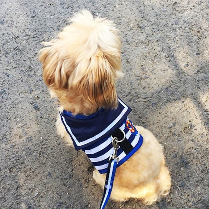 Pet Dog Clothes Soft Breathable Navy Style Leash Set - Image 4