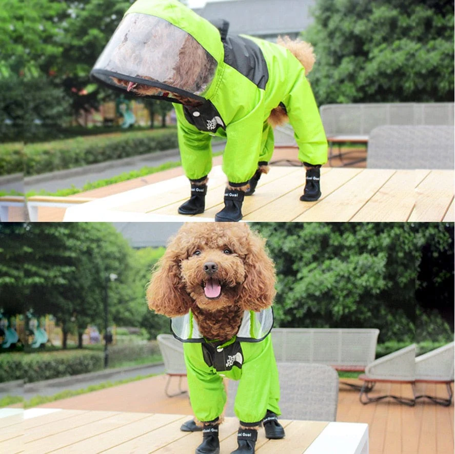 Waterproof Raincoat Transparent Hooded Jumpsuit Dog Cat - Image 5