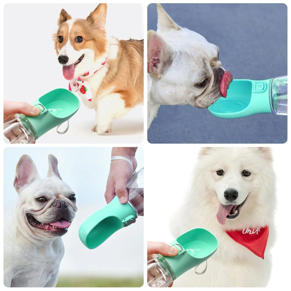 Portable Dog Water Food Container Bottle - Image 10