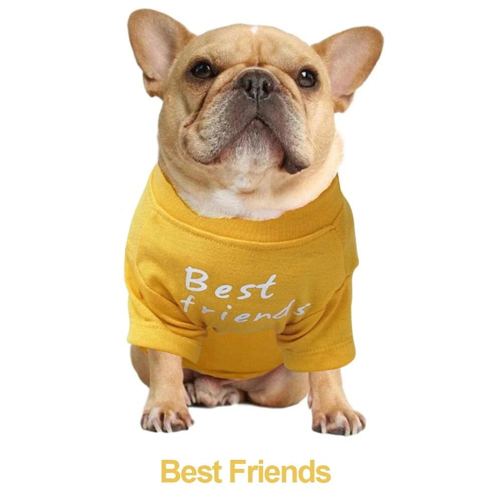 Quality Breathable Pet Clothing - Image 12