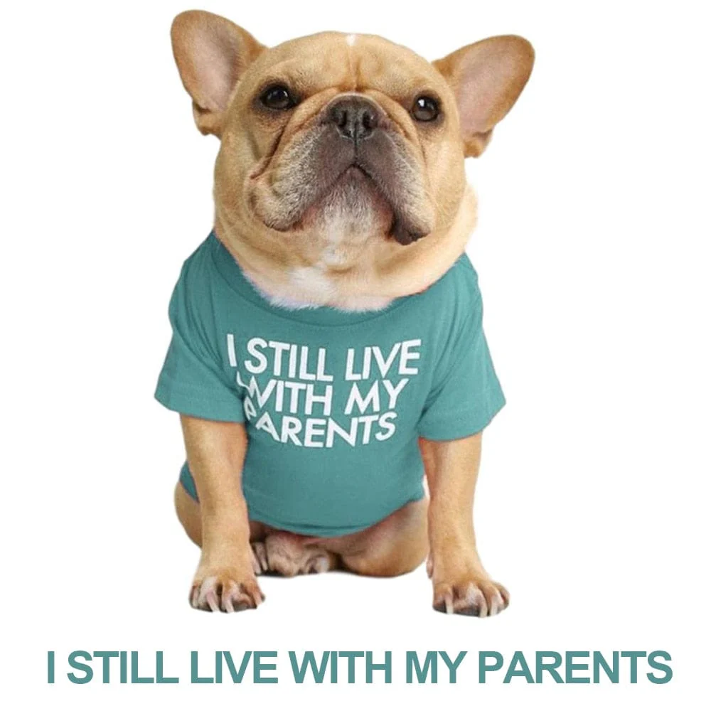 Quality Breathable Pet Clothing - Image 15