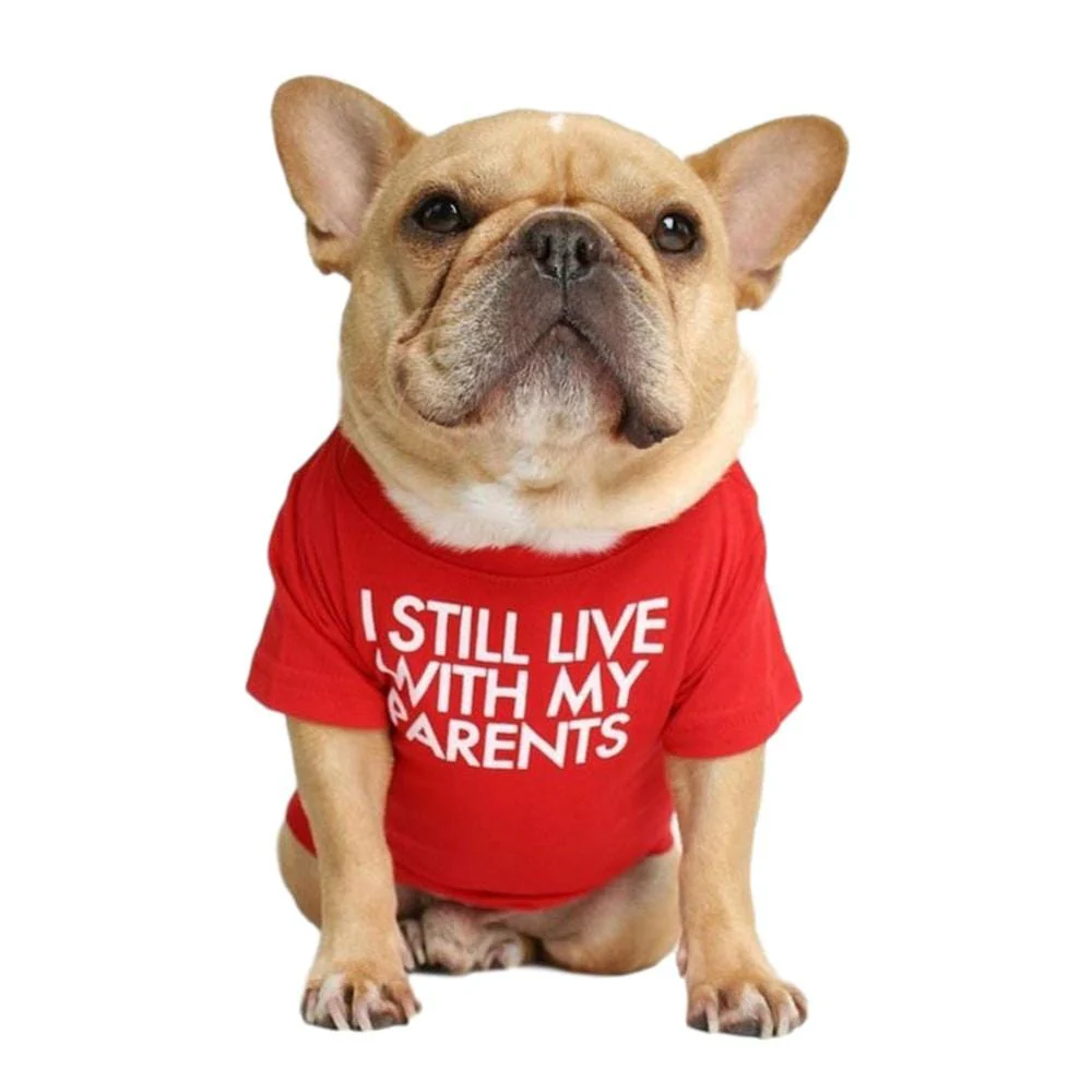 Quality Breathable Pet Clothing - Image 17