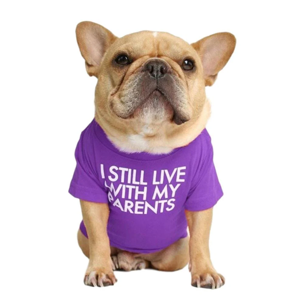 Quality Breathable Pet Clothing - Image 18