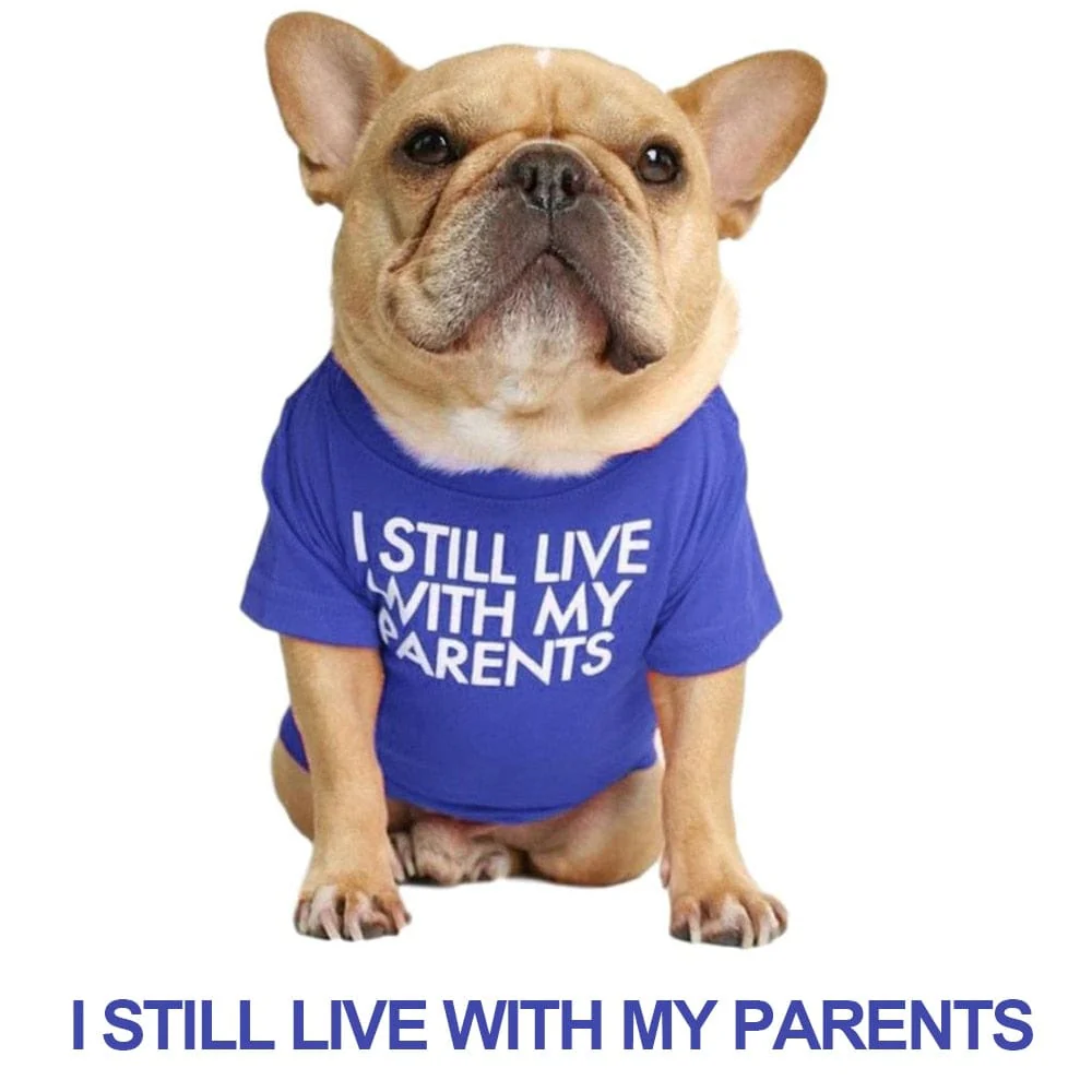 Quality Breathable Pet Clothing - Image 3