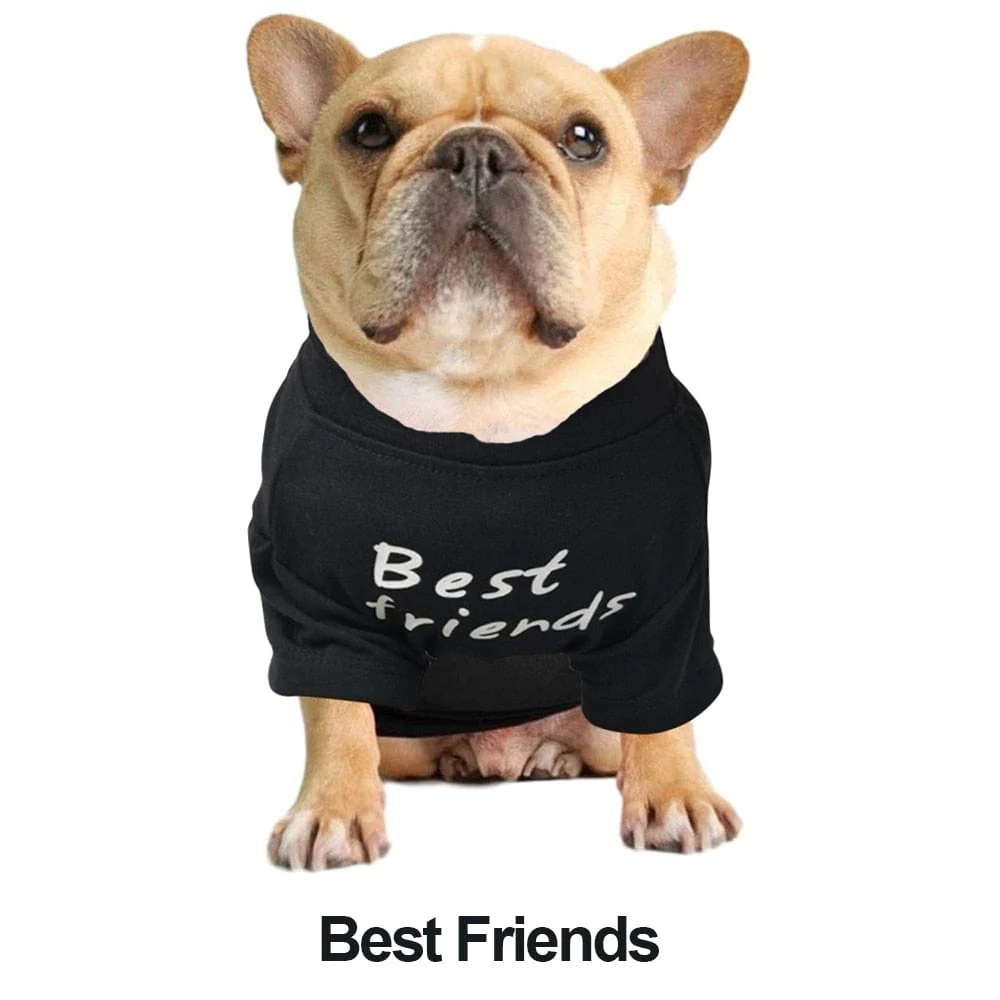 Quality Breathable Pet Clothing - Image 4