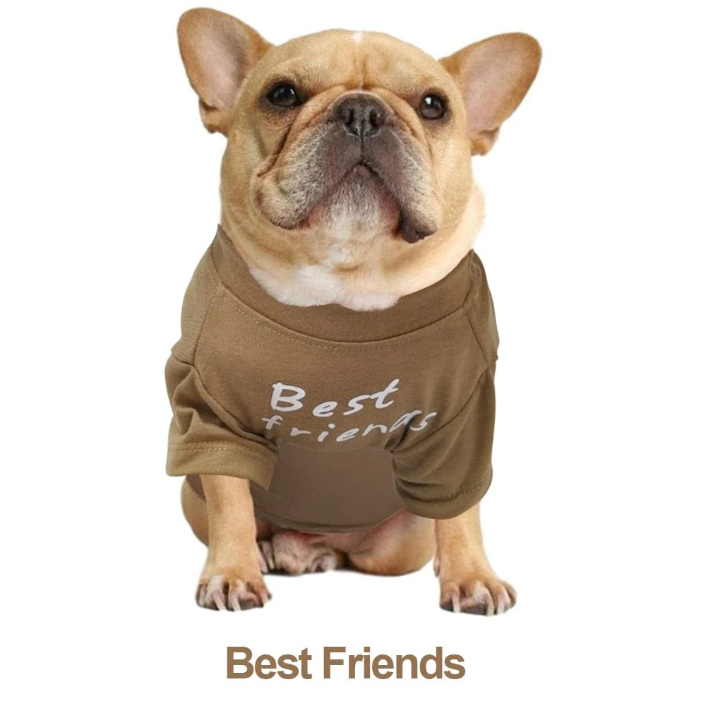 Quality Breathable Pet Clothing - Image 5