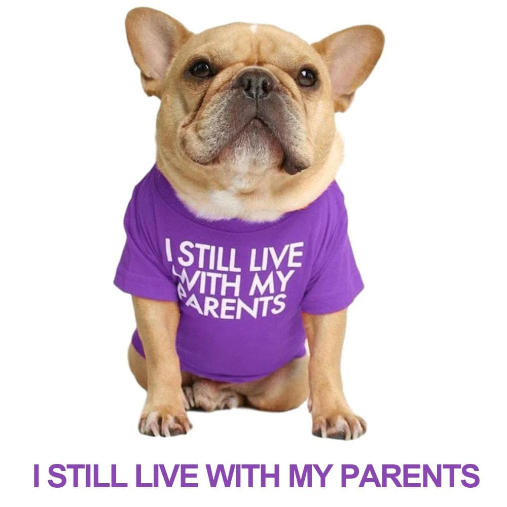 Quality Breathable Pet Clothing - Image 7