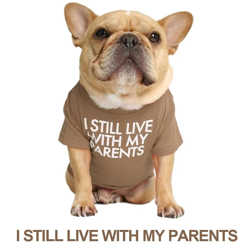 Quality Breathable Pet Clothing - Image 8